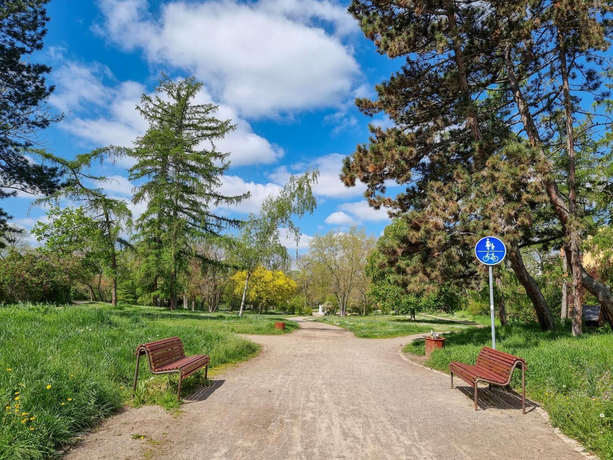 Ferienwohnung Am Stadtpark Naumburg  Zewnętrze zdjęcie